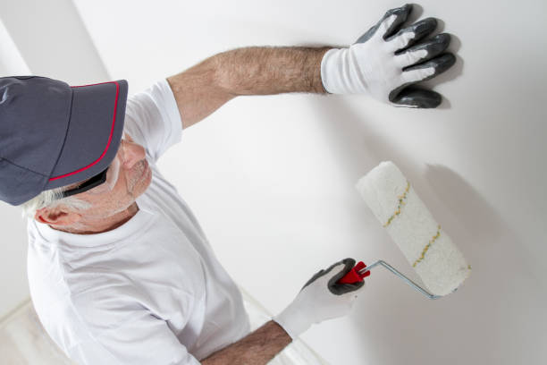 Professional Mold Removal in Great Neck Estates, NY