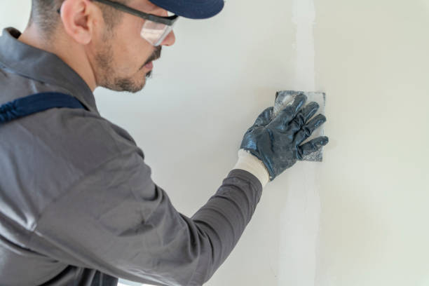 Best Comprehensive Air Testing for Mold Contaminants  in Great Neck Estates, NY